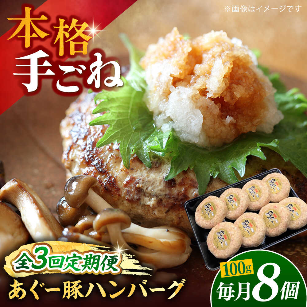 【ふるさと納税】【全3回定期便】沖縄県産あぐー豚ハンバーグセット 800g (100g×8個) 豚 ハンバーグ 冷凍 ギフト お取り寄せ 父の日 沖縄市 / お肉屋本店[BCAZ009]