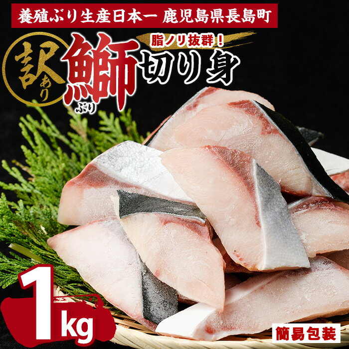 【ふるさと納税】【先行予約】鰤の切り身（約1.0kg） 長島町 ふるさと納税 ぶり 鰤 冷凍配送 ぶり 切り身 塩焼き ぶり ふるさと【株式会社島水】shimasui-1506