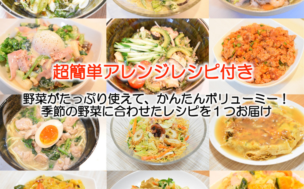 【定期便 冬3ヶ月コース】 本場！長崎の麺づくし定期便 時津町の新鮮具材とブランド卵のセット 旬の秋野菜10品目 太陽卵付き