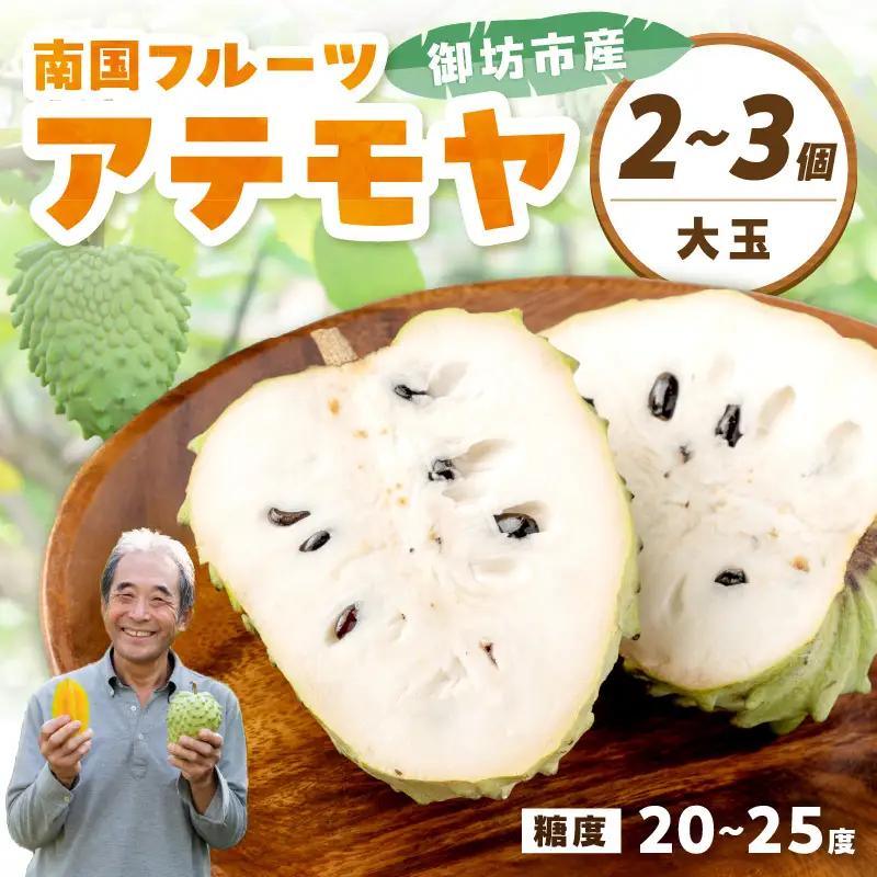 【1214】御坊市産　南国フルーツ　アテモヤ2～3個大玉（1㎏程度）≪先行予約≫2026年10月中旬頃から順次発送予定