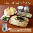 【ふるさと納税】はちみつうどん500g×1袋　約2～3人前(半生うどん)【1507018】