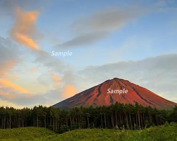 富士山フォトパネル（赤富士） NSF001