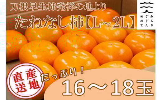 
            ＜R8年10月以降発送＞刀根早生柿発祥の地※より「たねなし柿」L~2L(1段箱16～18玉)【1434467】
          