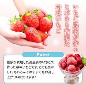 平川いちご農園 玄海町産 冷凍いちご 4kg【A184】