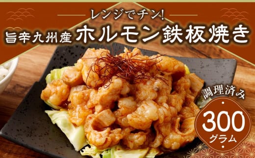 
            レンジでチン！旨辛福岡県産博多和牛ホルモン鉄板焼き(調理済み)
          