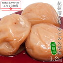 【ふるさと納税】紀州南高梅なごみの夢梅〔家庭用〕 1.2kg | 訳あり 《日本一の梅の産地》 紀州 紀州梅干 和歌山 梅 うめ ウメ 梅干し 梅干 塩分控えめ 減塩 はちみつ梅 甘口