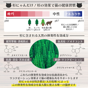 【6カ月定期便】オーガニック猫砂 杉にゃん 大粒タイプ 5L×1袋 | 安心 食べて 臭い 匂い 木製ペレット ひのき スギ 消臭 品質 尿 おしっこ トイレ 自然 多頭 子猫 シニア 誤飲 高齢 木