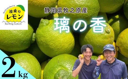 【国産 レモン 】牧之原産 波乗りレモン 璃の香 2kg 国産 Lemon 檸檬 柑橘類 柑橘 フルーツ 果物 酸っぱい 果肉 酸味  防腐剤不使用 自宅用 贈答品 レモンスカッシュ レモンパウンドケーキ レモンサワー くだもの 家庭用 静岡県産 農家直送 産地直送 産直 みどり きいろ グリーンレモン イエローレモン おすすめ 美味しい りのか  静岡県 牧之原市
