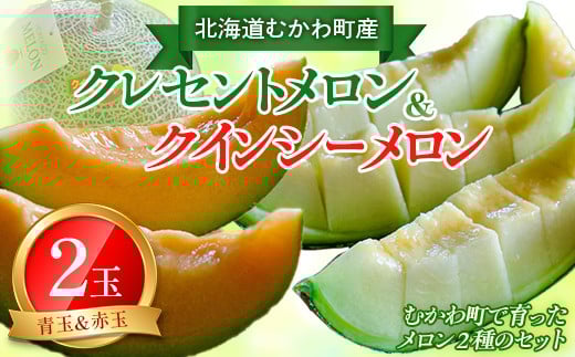 
            【2025年8月中旬以降発送】クレセント（青肉）・クインシー（赤肉）2玉赤青ミックス  【 ふるさと納税 人気 おすすめ ランキング メロン 果物  甘い 大玉 フルーツ 旬 北海道 むかわ町 送料無料 】 MKWAG003
          