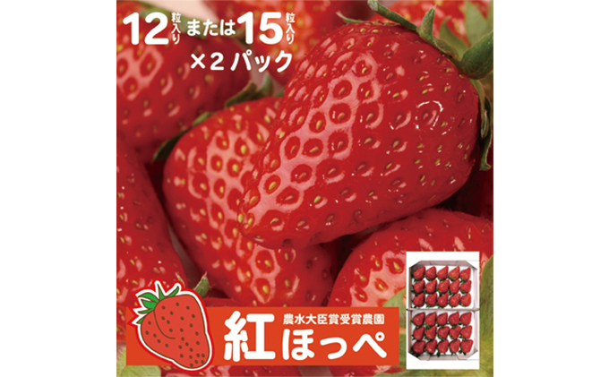【配達地域限定】農水大臣賞受賞農園からお届け イチゴ大粒・紅ほっぺ ２パック  配送:2026年2月上旬頃より順次発送 果物類 いちご 苺 