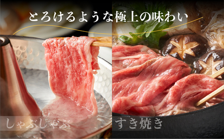 《定期便》飛騨牛ロースすきやき、しゃぶしゃぶ　贅沢三昧定期便 3回 2か月に1回お届け ロースすき焼き しゃぶしゃぶ 牛肉 国産 A5 等級 だるまミート 岐阜県 白川村 贅沢 冷凍 75000円 [