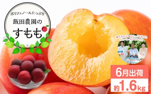 【先行予約】飯田桃園のすもも 1.6kg 6月出荷【スモモ 瀬戸内のスモモ 香川 さぬき市】