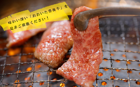 訳あり！【A4～A5】豊後牛焼肉切り落とし(肩ロース・バラ) 500g　D23