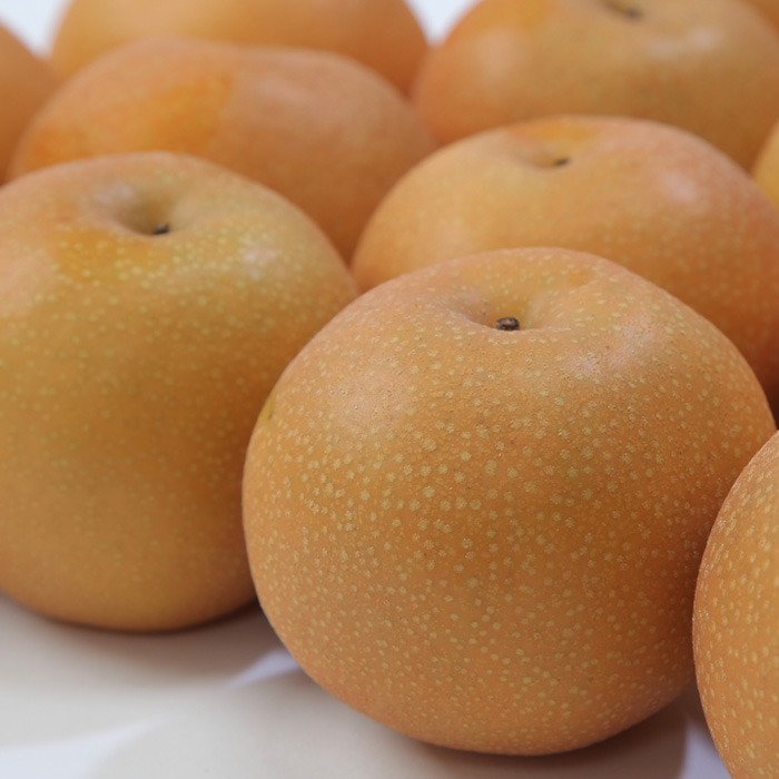 ☆フルーツ王国山形☆白桃 (やわらかくなる桃)・和梨食べ