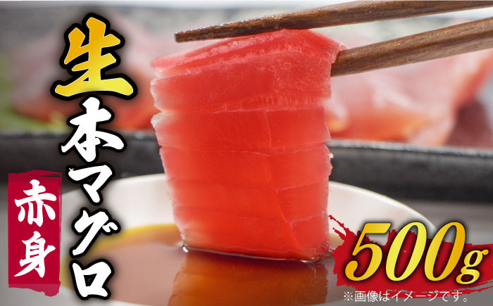 
            【ながさき水産業大賞受賞の新鮮なマグロを冷蔵でお届け！！】五島列島産 養殖 生本かみまぐろ 赤身 刺身 ブロック 500g【カミティバリュー】 [RBP050]
          