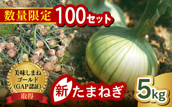 【数量限定100個】【先行予約/2026年6月上旬以降順次発送】美味しまねゴールド認証取得! 松江市産 春おとずれ新たまねぎ Lサイズ前後5kg 島根県松江市/mishiro farm [ALIJ002]