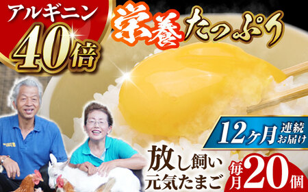 【全12回定期便】アルギニン元気たまご20個【浅田峠自然塾】[EA04] 卵 定期便 卵 平飼い卵 たまご
