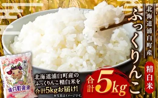 〈 令和8年産 〉浦臼産 ふっくりんこ 精白米 5kg お米 米 こめ コメ 白米 白飯 飯 ご飯 おにぎり ブランド米 ブランド 国産 北海道産 和食 魚料理 【 2026年11月上旬より順次発送 】