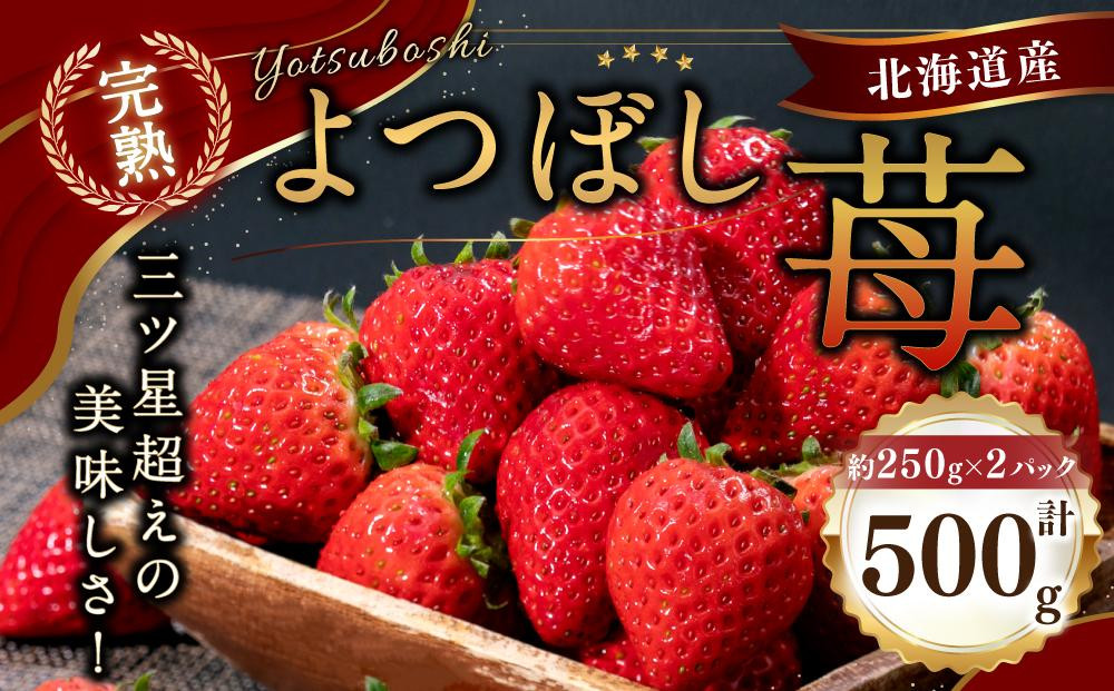 
北海道産 完熟よつぼし苺(約250g×2パック)
