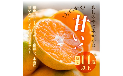 【2026年先行予約】【秀品】和歌山県産　有田みかん 約10kg （S～Ｌサイズ混合）【まごころ手選別】_ZE6519