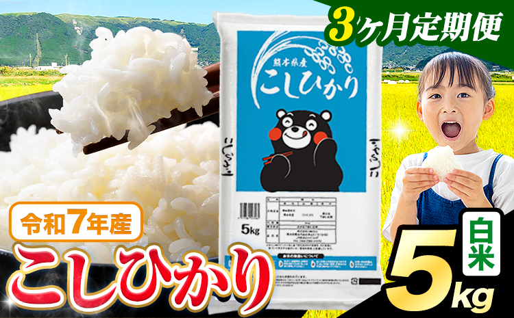 【3ヶ月定期便】令和7年産 米 白米 こしひかり 5kg《お申込み翌月から出荷》熊本県産 ふるさと納税 白米 精米 ひの 米 こめ ふるさとのうぜい コシヒカリ コメ お米 おこめ---reihoku_loc_603_mo3---