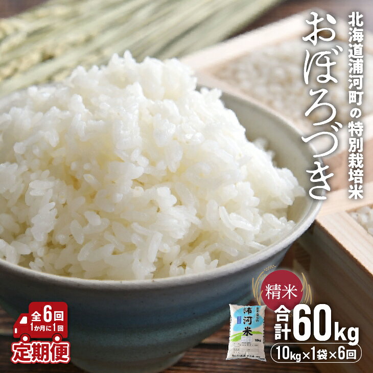 【ふるさと納税】北海道浦河町の特別栽培米「おぼろづき」精米(10kg×1袋)定期便(全6回)[37-1171] 北海道 浦河 ふるさと納税 特別栽培米 令和8年産 おぼろづき 米 精米 定期便 全6回 送料無料