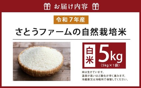 【令和7年産】さとうファームの自然栽培米（白米5kg）白米 お米 ふっくら つやつや おいしい 美味しい 贈り物 単一原料米