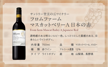 甲斐市産赤ワイン5本セット　家飲み 赤 日本ワイン 山梨ワイン 定番 テーブルワイン お酒 サントリー 甲州 飲み比べ 山梨県 甲斐市 AD-297