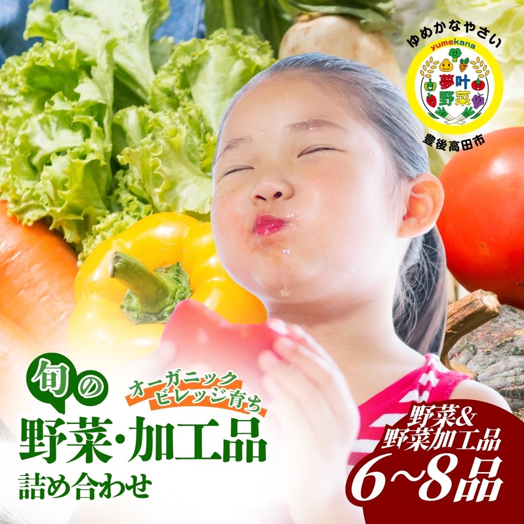 【ふるさと納税】先行予約 7月～9月にお野菜お届け 季節の夢叶夏野菜（ゆめかななつやさい）ボックス (野菜6～8品目) | 新鮮 とれたて 産地直送 旬 国産 葉物 根菜 詰め合わせ トマト じゃがいも にんじん 玉ねぎ カボチャ きゅうり オクラ 送料無料 大分県 九州 豊後高田市