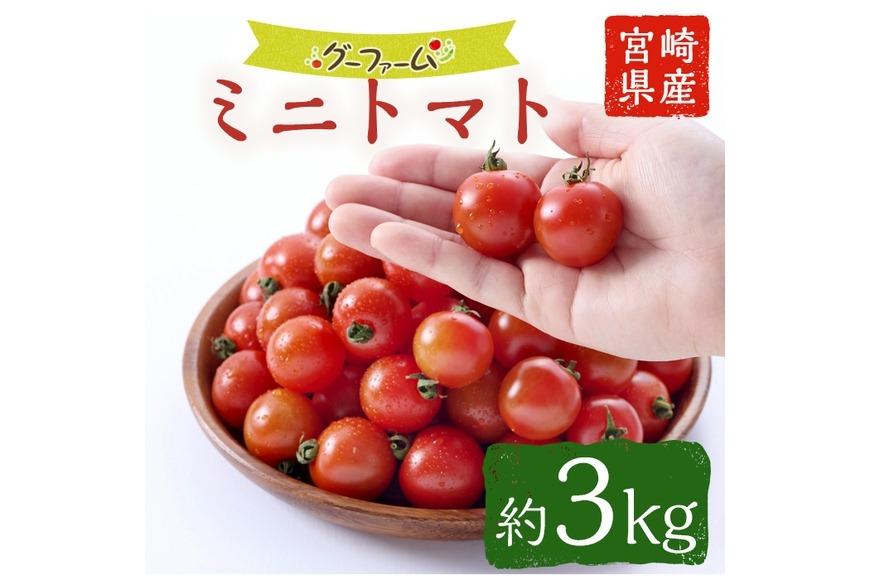＜先行予約受付中！2025年12月から順次発送予定＞＜期間限定＞ ミニトマト(約3kg) ミニトマト(約3kg)野菜 とまと フルーツトマト サマー千果 アイコ サラダ 【GF-2】【グーファーム】