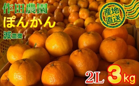 【秀品】作田農園直送！ポンカン2Lサイズ 3kg _ みかん 有機肥料 ポンカン ぽんかん