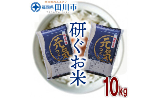 福岡県産元気つくし 10kg お取り寄せグルメ　お取り寄せ 福岡 お土産 九州 ご当地グルメ 福岡土産 取り寄せ 福岡県 食品