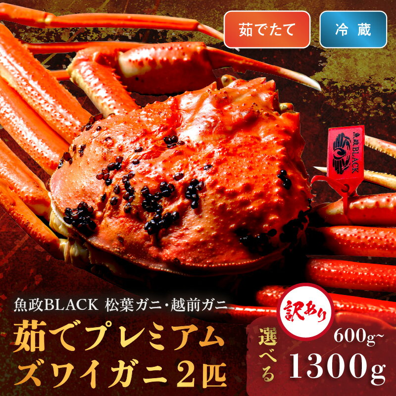 【ふるさと納税】★5 訳あり　【蟹の匠 魚政】茹で　プレミアムズワイガニ 魚政BLACK(松葉ガニ・越前ガニ) 小サイズ(600～700g)～特大サイズ(1200～1300g) 2匹セット (11月～12月発送) (2026年1月～発送)