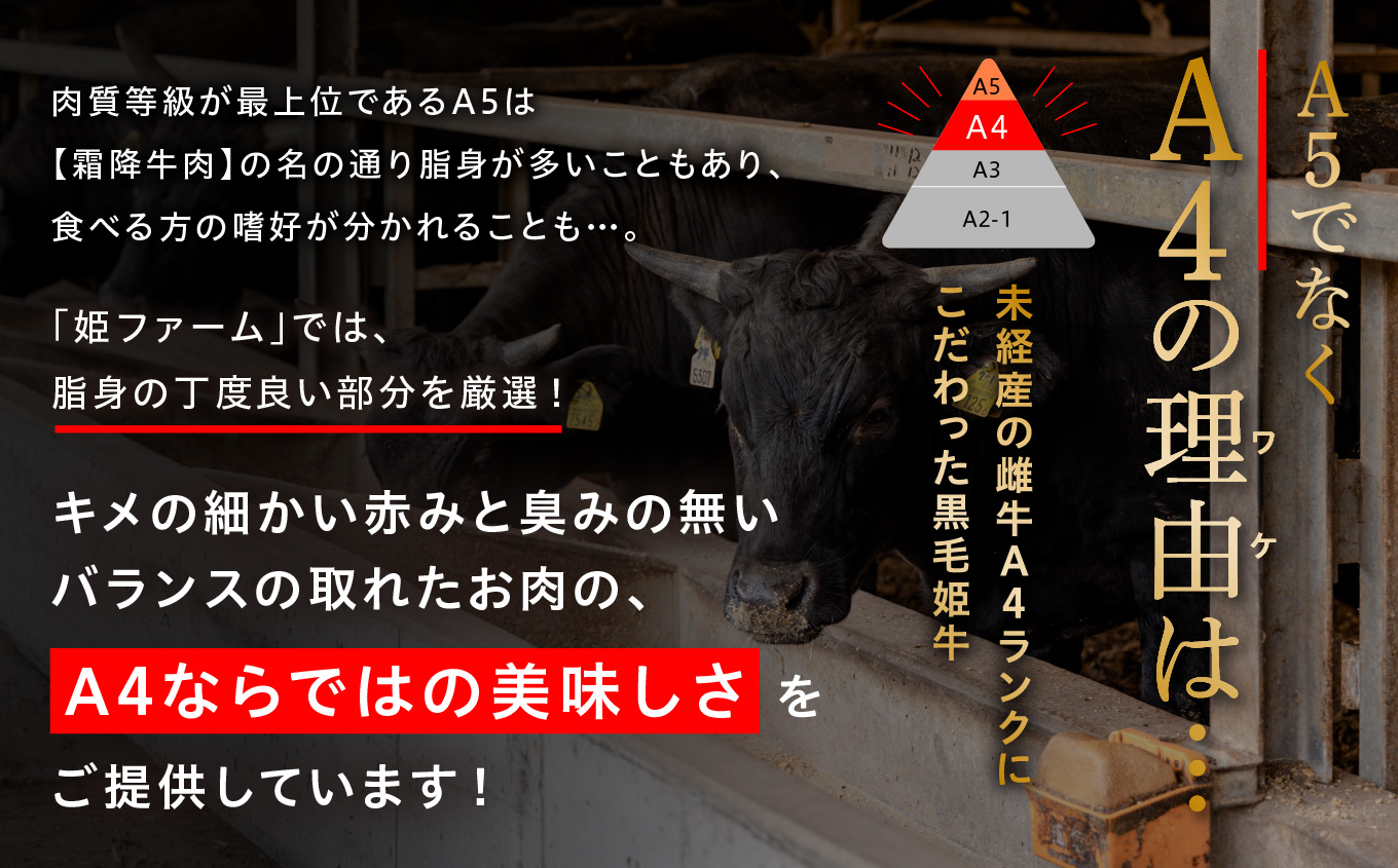 鹿児島産黒毛姫牛のアルティメットポテト＆プレミアムパワーピザ【Meat you Kitchen姫ファーム】