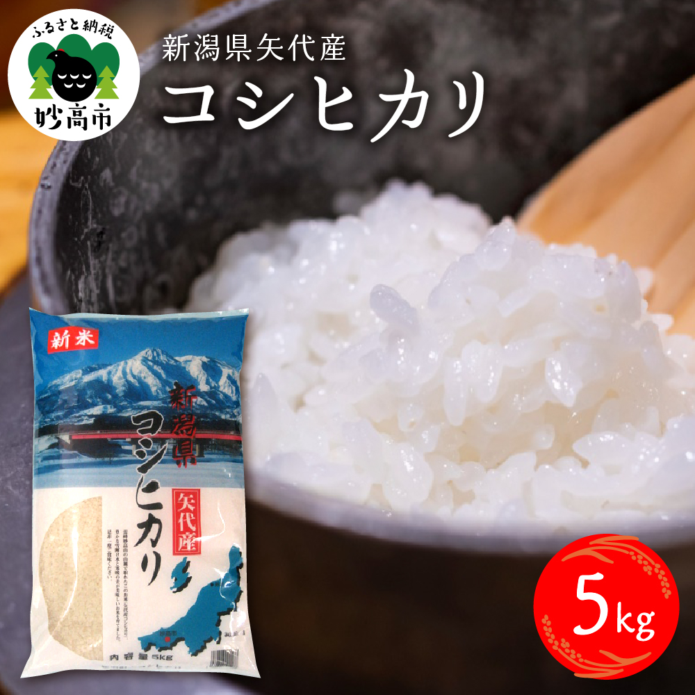 令和6年産新潟県矢代産コシヒカリ５kg