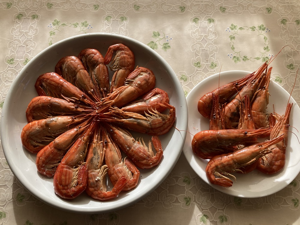 北海道　北海縞海老（シマエビ）