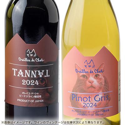 ふるさと納税 茅野市 タナ(赤)&ピノグリ(白)2本セット |  | 01