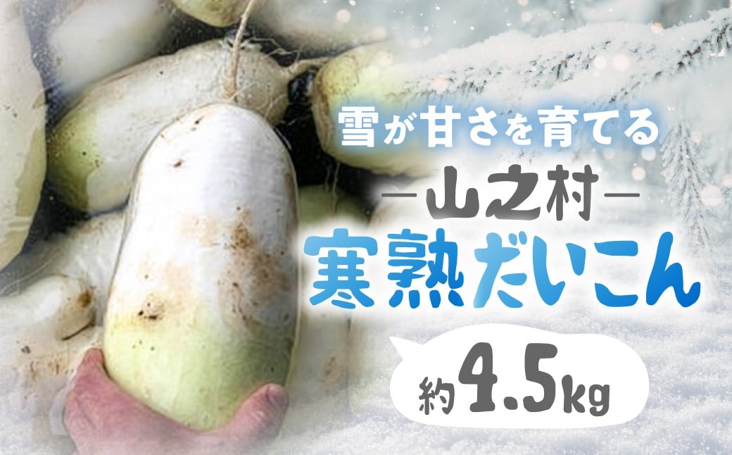 
                  先行予約《満天☆青空レストラン 2/15放送》令和9年産 飛騨 山之村 清水さんちの「寒熟だいこん」完熟大根 約4.5kg【2027年1月下旬～3月上旬発送】/ 完熟大根 野菜 大根 産地直送 ダイコン 鍋 おでん 煮物 野菜 根菜
                
