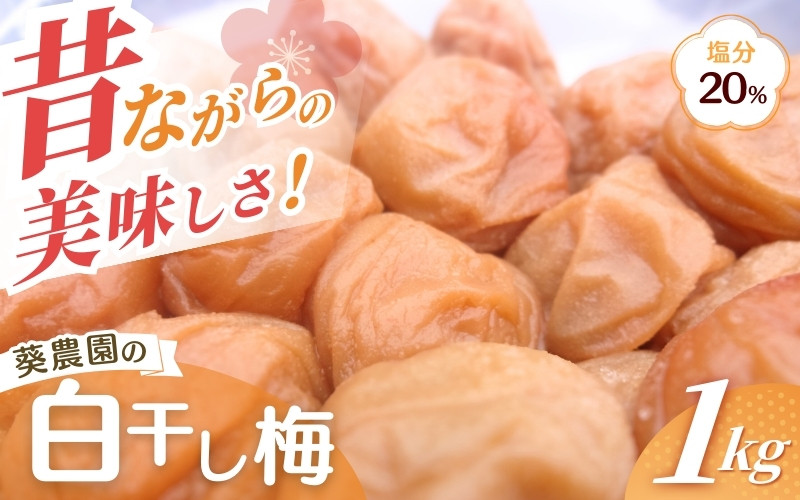 紀州南高梅 白干し南高梅干し 1kg 塩分20％ 添加物不使用 / 梅 うめ ウメ 梅干し 梅干 白干し 南高梅 紀州南高梅 和歌山県 田辺市 【aoi014-2】