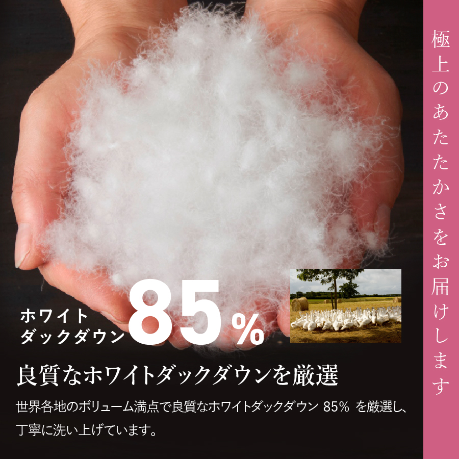【訳あり】甲州羽毛ふとん　本掛けふとん （シングル/お任せ柄）ダウン85％　寒色 羽毛布団