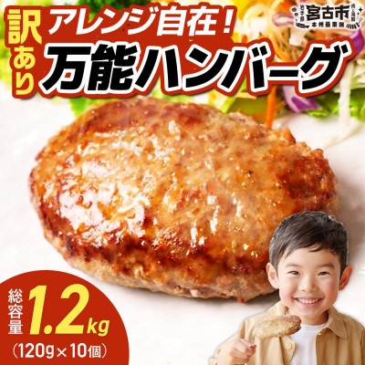 
                  ＜訳あり＞万能ハンバーグ1.2kg(120g×10個)　冷凍のまま10分で焼ける【1778292】
                
