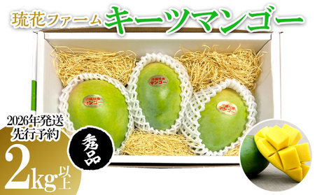 マンゴー【2026年発送先行予約】キーツマンゴー秀品2kg以上