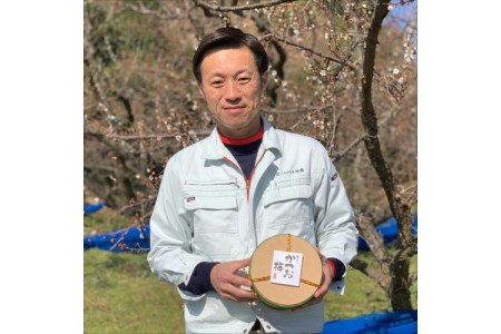 【0520-5】贈答 紀州南高梅 かつお梅木樽入り 1kg