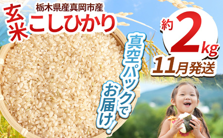 【栃木県共通返礼品】【先行予約】【ふるさと納税】毎月500個限定！令和7年度新米 栃木県産こしひかり（玄米真空パック) 約2kg  | 新米 栃木県産 こしひかり 真空 パック 米  お米 玄米 もちもち ふるさと納税 栃木県 那珂川町 送料無料