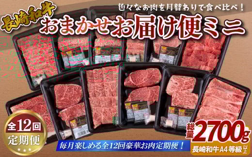 B249p 《定期便》長崎和牛おまかせお届け便ミニ(12回)