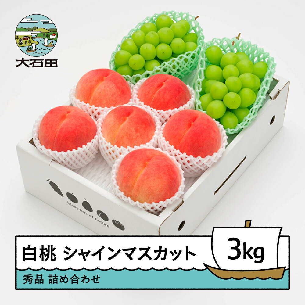 【ふるさと納税】 【先行予約】もも 白桃 秀品 ＆ シャインマスカット 品種おまかせ 詰め合わせ 約3kg 2026年産 令和8年産 送料無料 フルーツ 果物 大石田 ns-fshsx3※沖縄・離島への配送不可