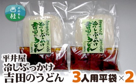 No.242 冷しぶっかけ 吉田のうどん 3人用平袋×2パック / 山梨のうどん【n0242_hir_A】
