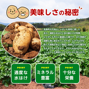 《先行受付:５月発送》長島町 いから島産 赤土 じゃがいも5kg 【高橋農園】takahashi-1495