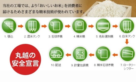 京都伏見のお米問屋が精米 京都丹波産こしひかり 5kg×2 計10kg◇※米食味鑑定士厳選 ※精米したてをお届け※沖縄本島・離島への配送不可《米 京都丹波産 特Ａ 米 令和5年産米 大人気米 人気米 