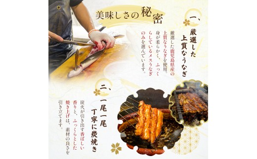 K-722-A 炭焼き 極 うなぎおこわ(180g×4個)【うなぎ料理 よし宗】霧島市 国産 鹿児島県産 うなぎ 鰻 ウナギ おこわ 炭火焼き 炭焼 蒲焼き 蒲焼 かばやき タレ もち米